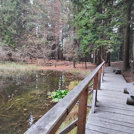 Milusia Muszyna Hotel Kültér fotó